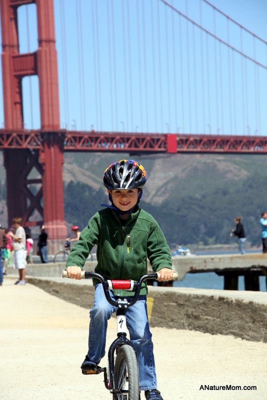 Crissy Field and Yoda 051