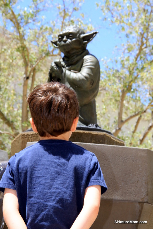 Crissy Field and Yoda 076