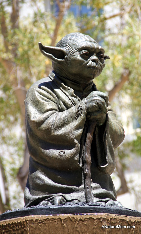 Crissy Field and Yoda 080