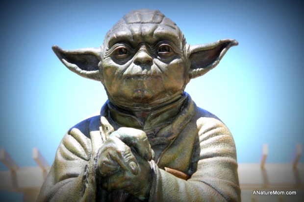 Crissy Field and Yoda 084