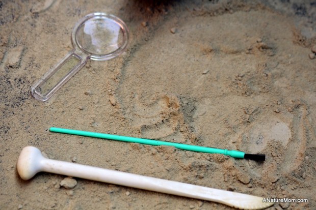 Crystal Excavation Kit 011