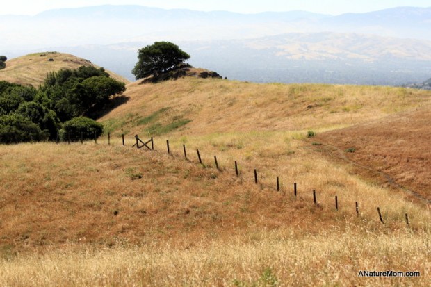 Dublin Hills Hike 003