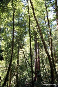 School Camp Trip 022