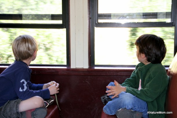Sunol Train 037
