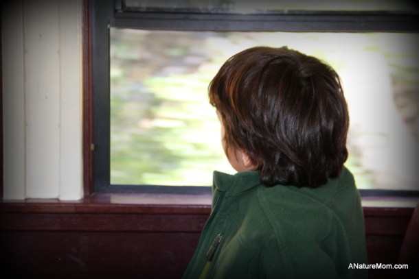 Sunol Train 044