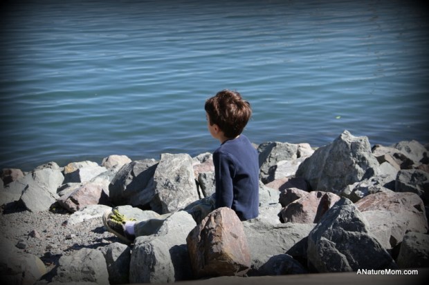 Tiburon and Sausalito 078