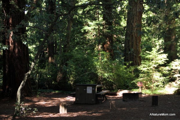 Butano Camp Trip 003