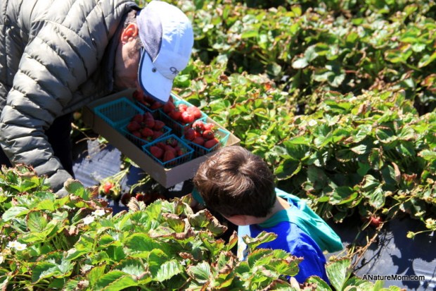 Butano Camp Trip 037