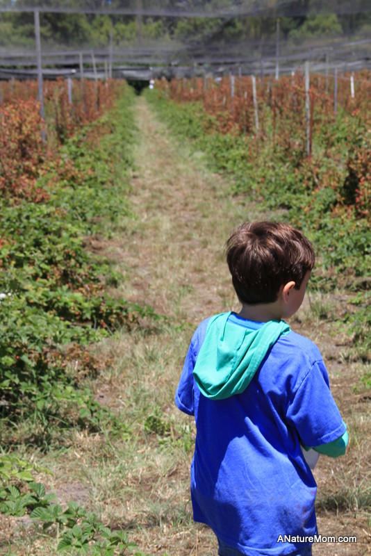 Butano Camp Trip 060