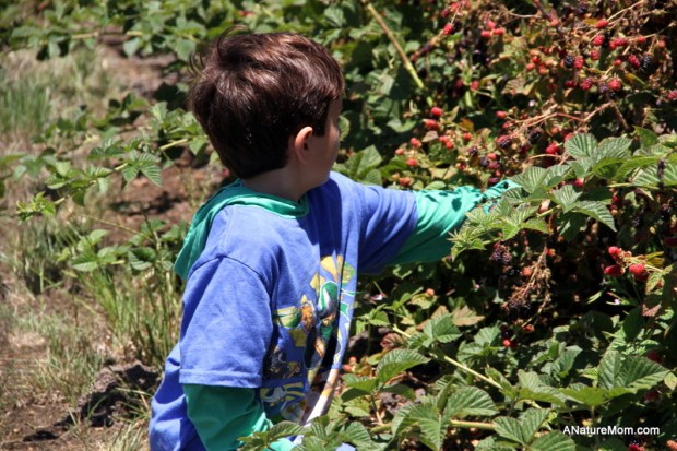 Butano Camp Trip 071