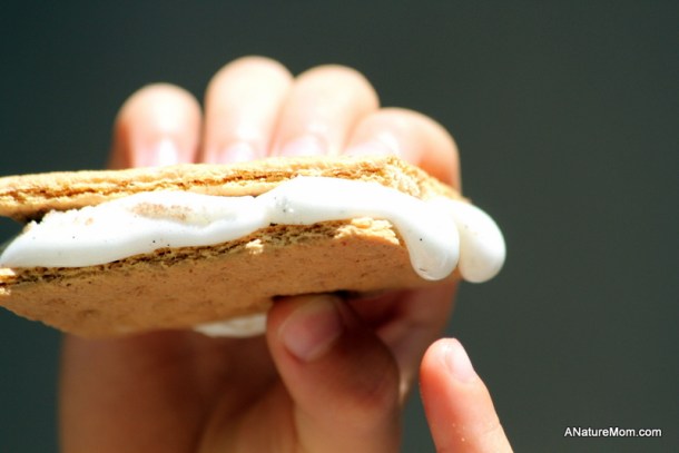 Solar Cooker S'Mores 014-001