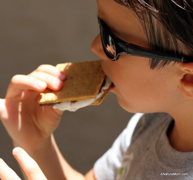 Solar Cooker S'Mores 018