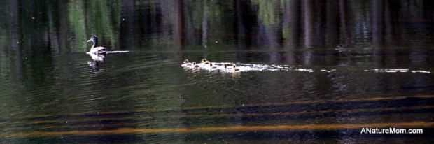 Yosemite Camping July 014