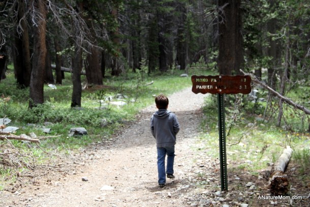 Yosemite Camping July 018