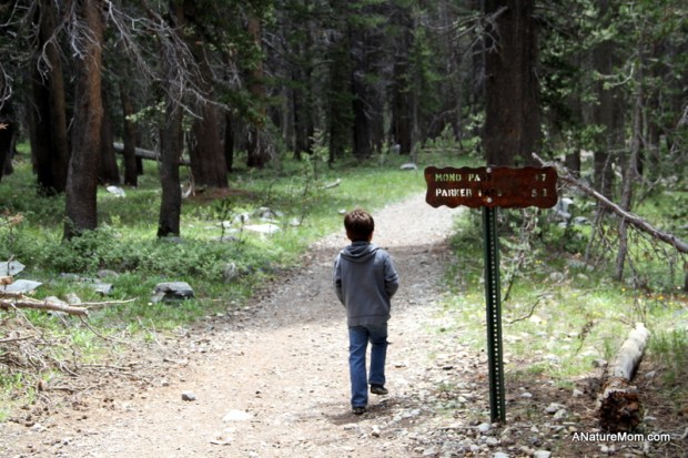 Yosemite Camping July 018