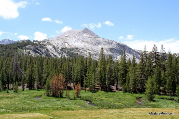 Yosemite Camping July 035