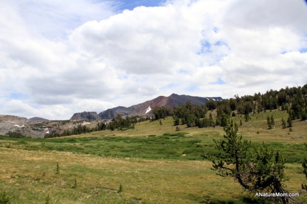 Yosemite Camping July 042