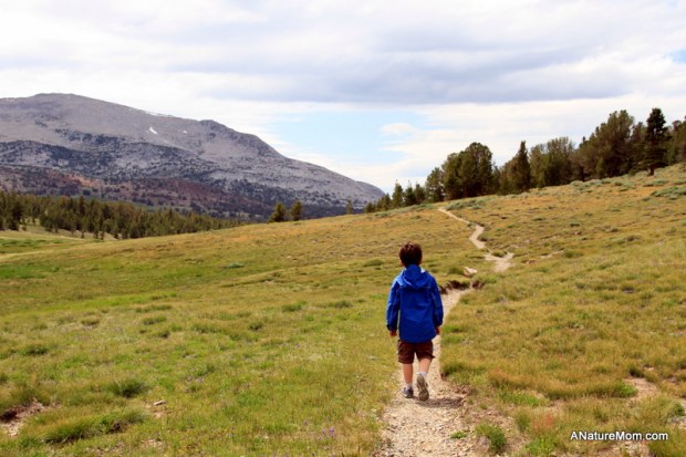 Yosemite Camping July 088