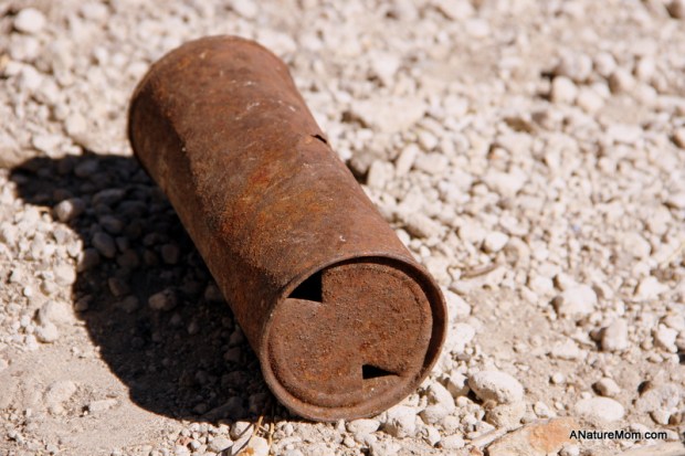 Picnic Area, Minaret Vista, California, October, 2014